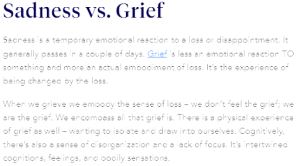 sadness vs grief