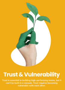 trust and vulnerability